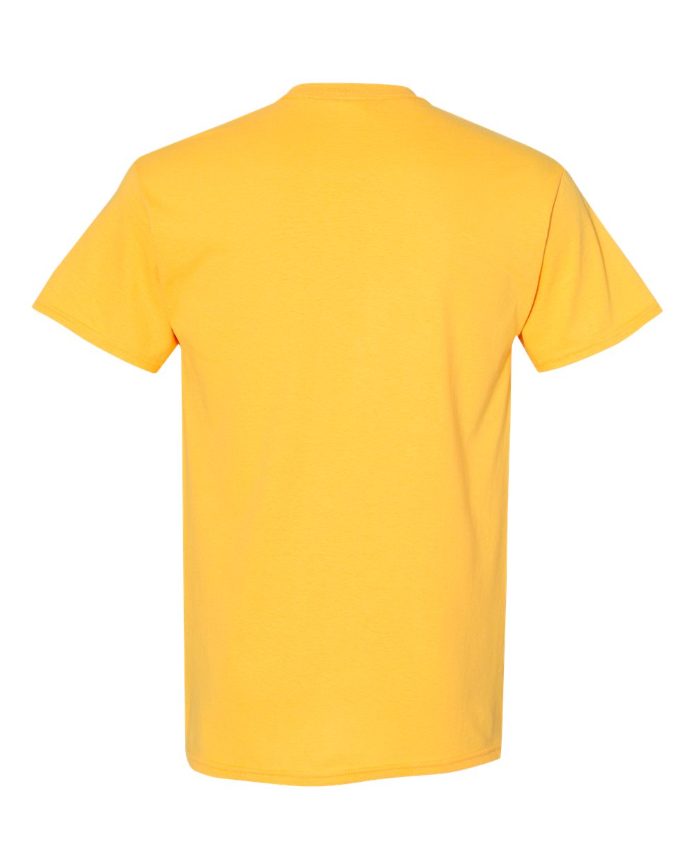 Gildan 5000 - Unisex Heavy Cotton™ T-Shirt - Daisy - Back